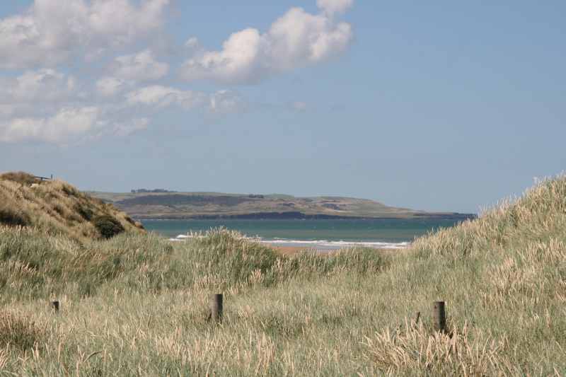 Nieuw-Zeeland 2011 - 1780